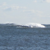 Feb 2012, Beadnell Bay