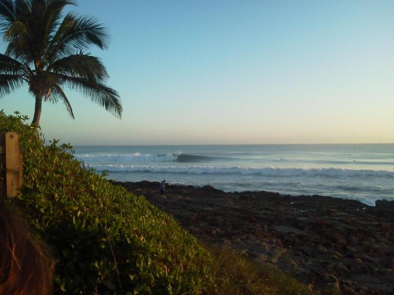 Morning Waves, Stuart Rocks