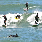 Party Wave, Fort Point