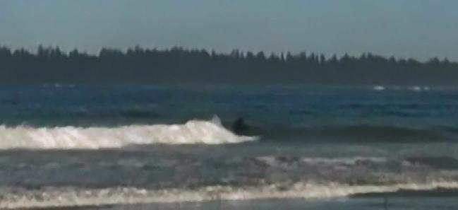 Barefooted Summer, Florencia Bay