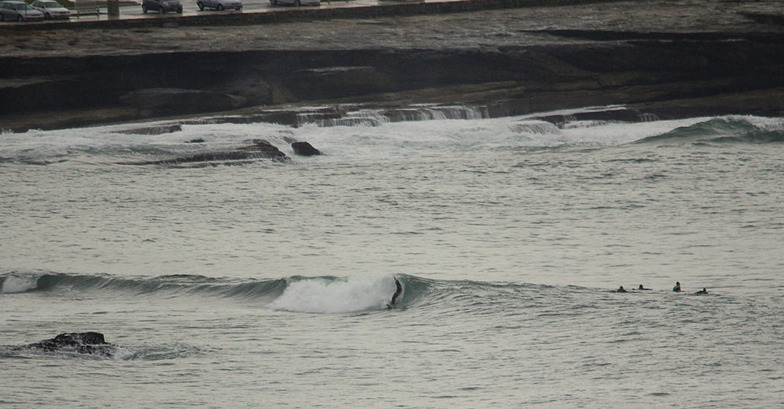 Clovelly Bombie