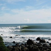 muriwai, Muriwai Beach