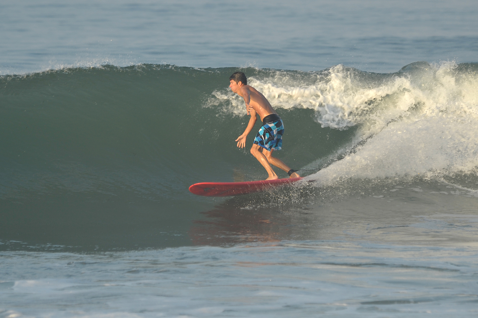 Ralph June 3 2012, Burros