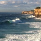 bunnies, Bronte Reef or Bunnies