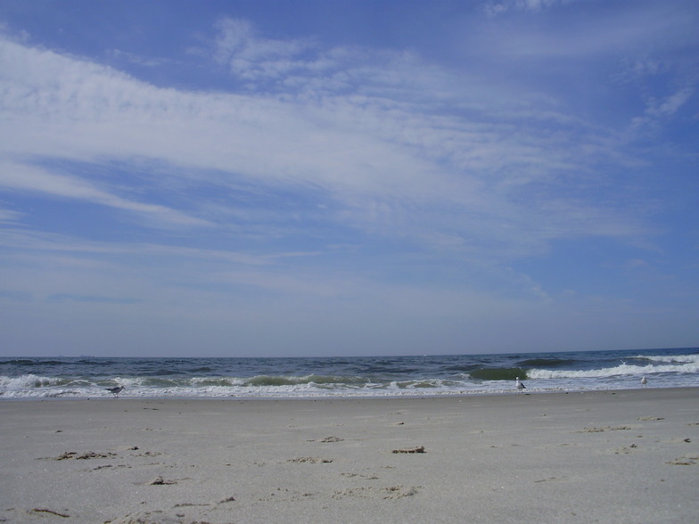 Long Beach