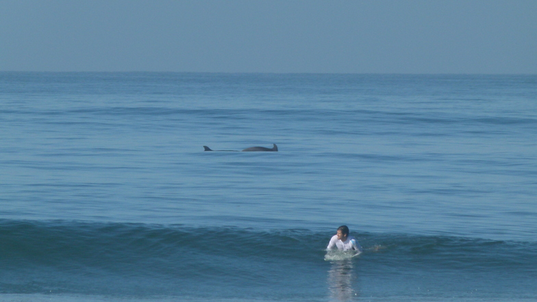 Acapulco Revolcadero Dolphins surf, Playa Princess