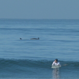 Acapulco Revolcadero Dolphins surf, Playa Princess