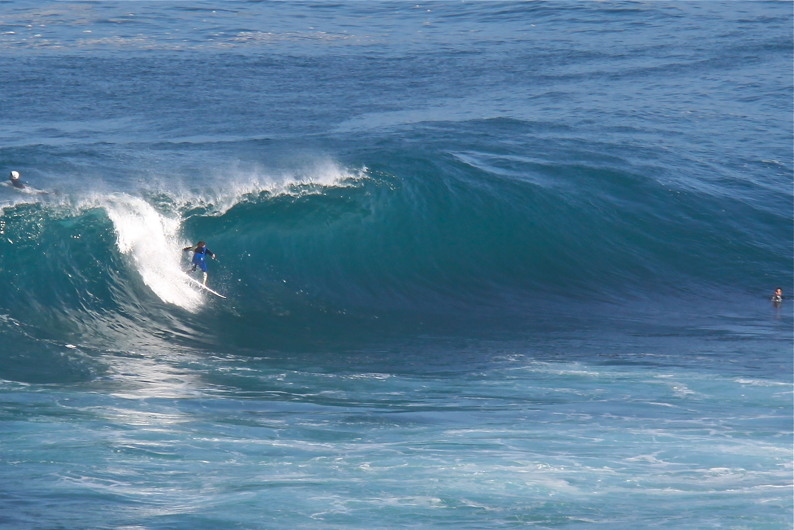 From Mild To Wild, Blackfellows