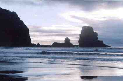 The  Stac at Talisker Bay, Talisker Bay (Skye)