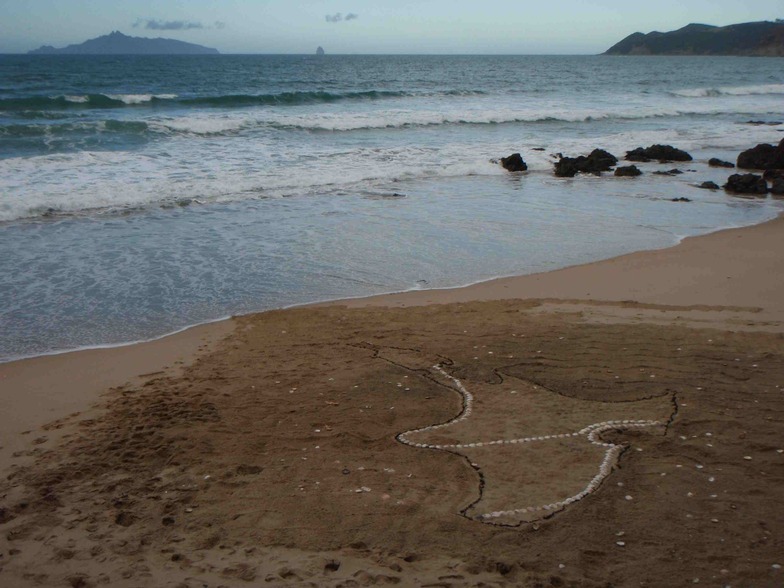 NZ North Island Map with Sea Weed and Shells, Langs beach