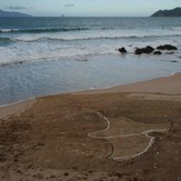 NZ North Island Map with Sea Weed and Shells, Langs beach