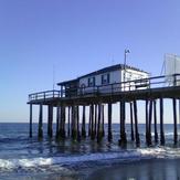 Belmar Fishing Club Pier, Belmar Fishing Pier