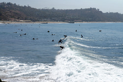 One wave, and too many people, Sunset Boulevard photo