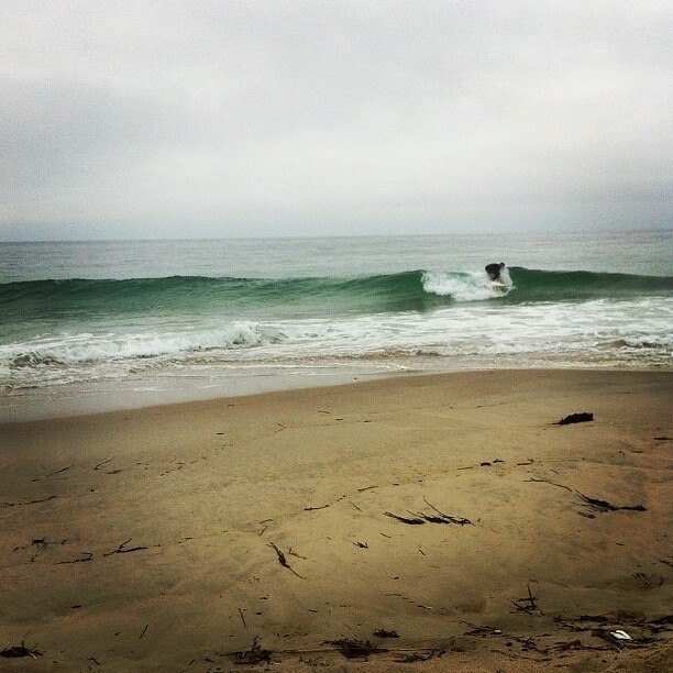 nauset surf, Nauset Beach