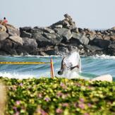 La bahia de los Cocos"