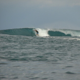 south swell, Darigayos