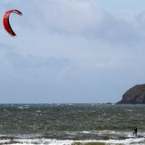 Red kite, Tramore