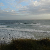 Fields, Compton Bay