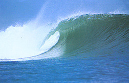 Kuta Reef Bali