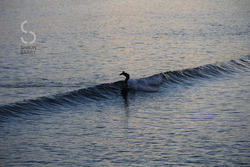 Rollin in, Ballycotton photo