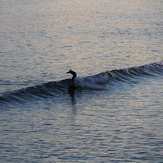 Rollin in, Ballycotton