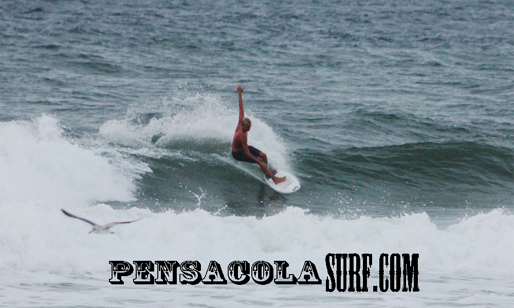 Thursday DP Report, Pensacola Beach