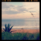 Ormond Beach, Ormond Beach Pier