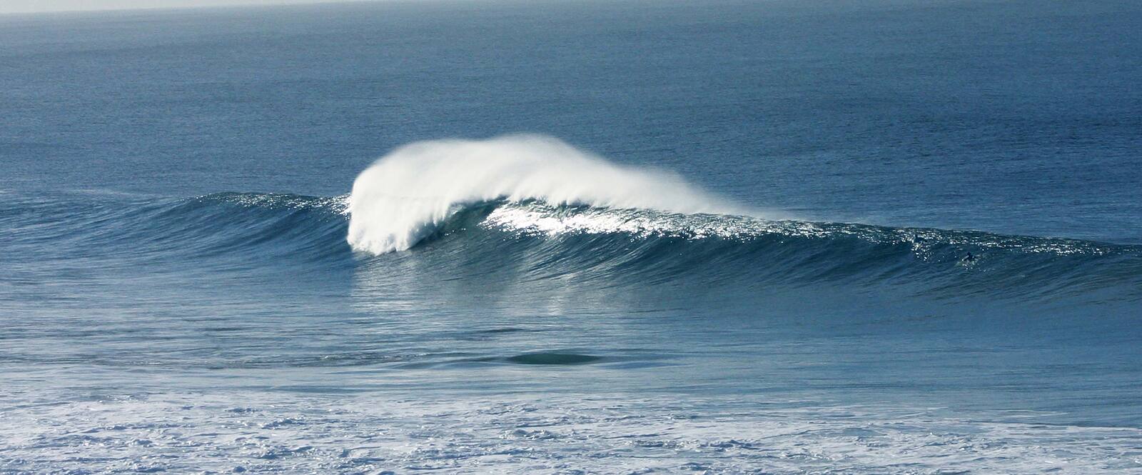 Winky Pop, Winki Pop