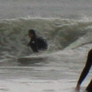 Benny B Hurricane Michael, Assateague