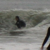 Benny B Hurricane Michael, Assateague