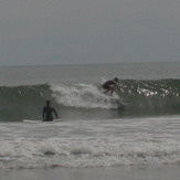 Hurrican Michael, Assateague