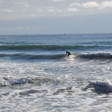 Mushy Day, La Push