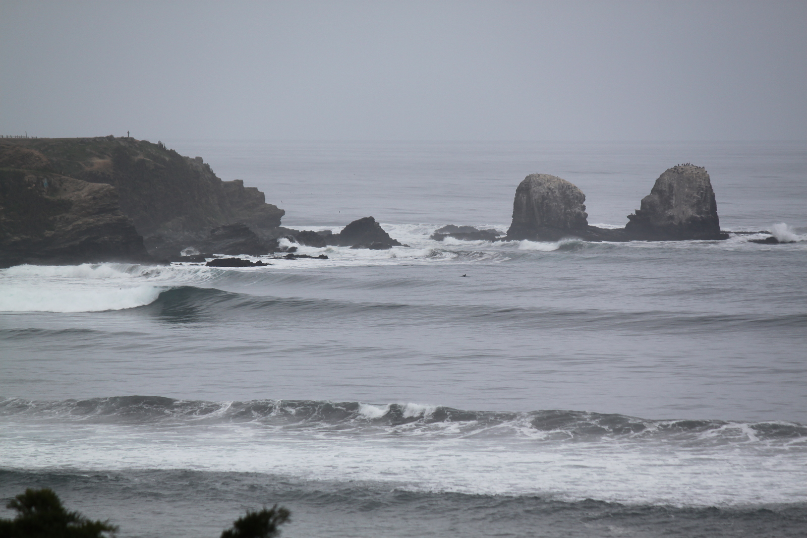 Punta de Lobos as seen from the highway