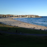 Bondi Beach Beauty