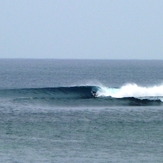 CATANDUANES, PHILIPPINES, Majestics