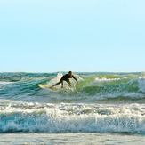 Singlefin, Vila Praia de Ancora