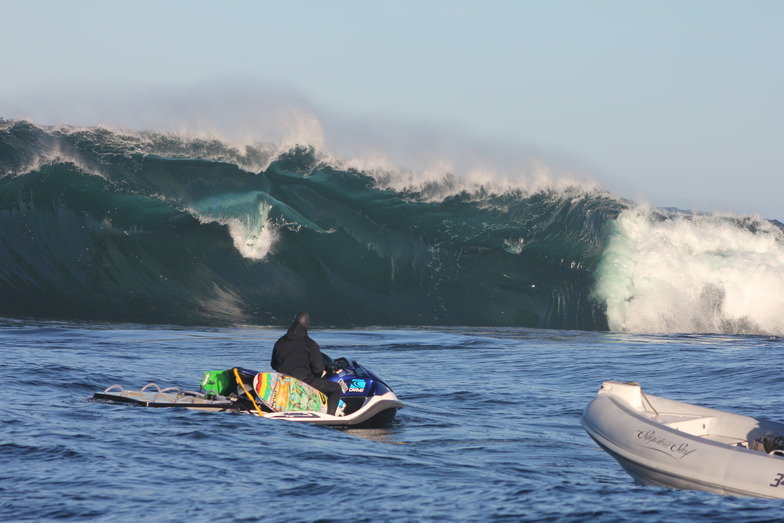 Shippies, Shipstern Bluff