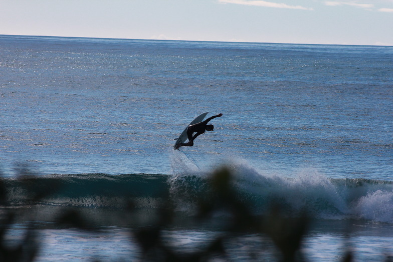 flying high, Redbill Beach