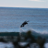 flying high, Redbill Beach