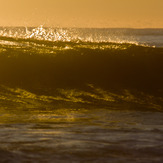 Golden walls, Friendly Beaches