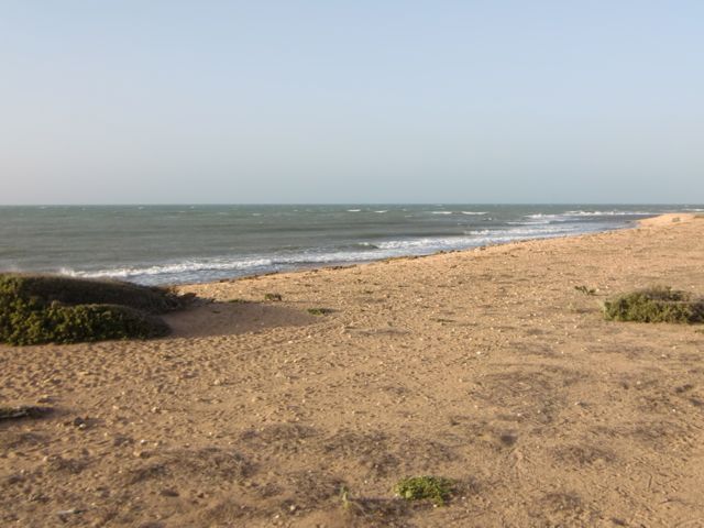 Lonely Point, Punta Gallina