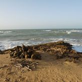 Northern most waves, Punta Gallina