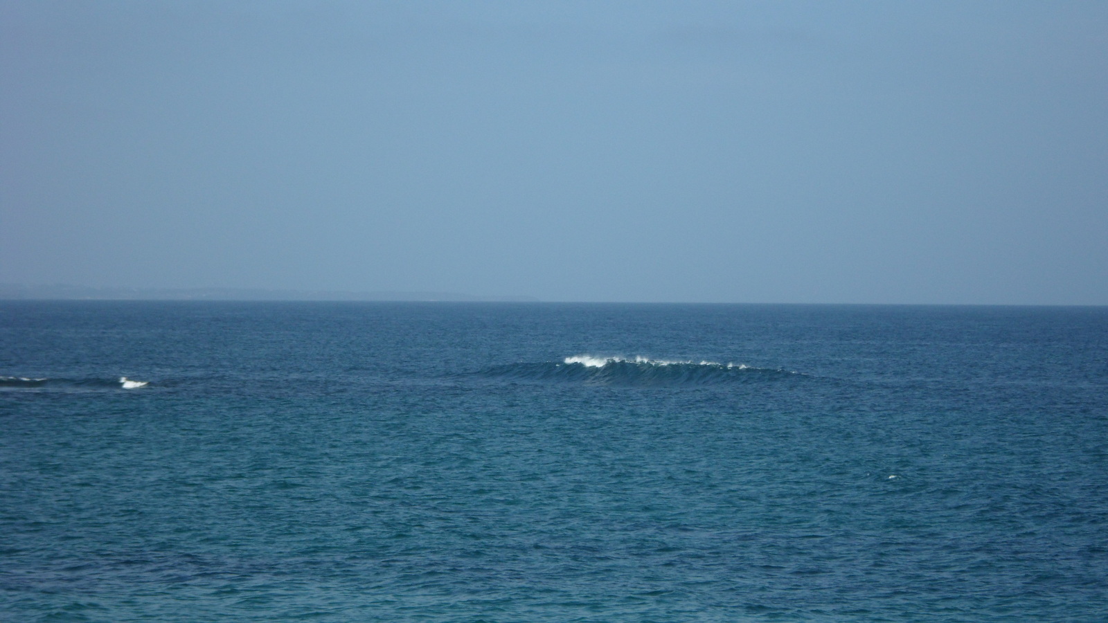 wave of gannet beach bawley point