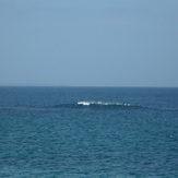 wave of gannet beach bawley point