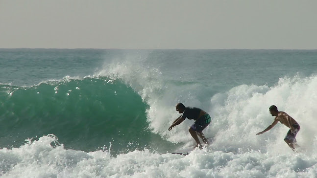 Quest Dropping 1, Los Patos