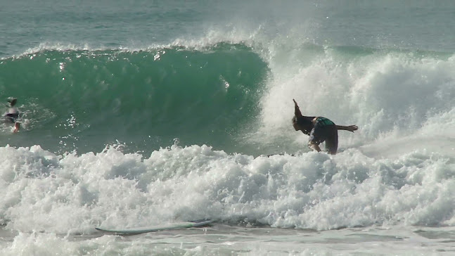 Quest Dropping 2, Los Patos