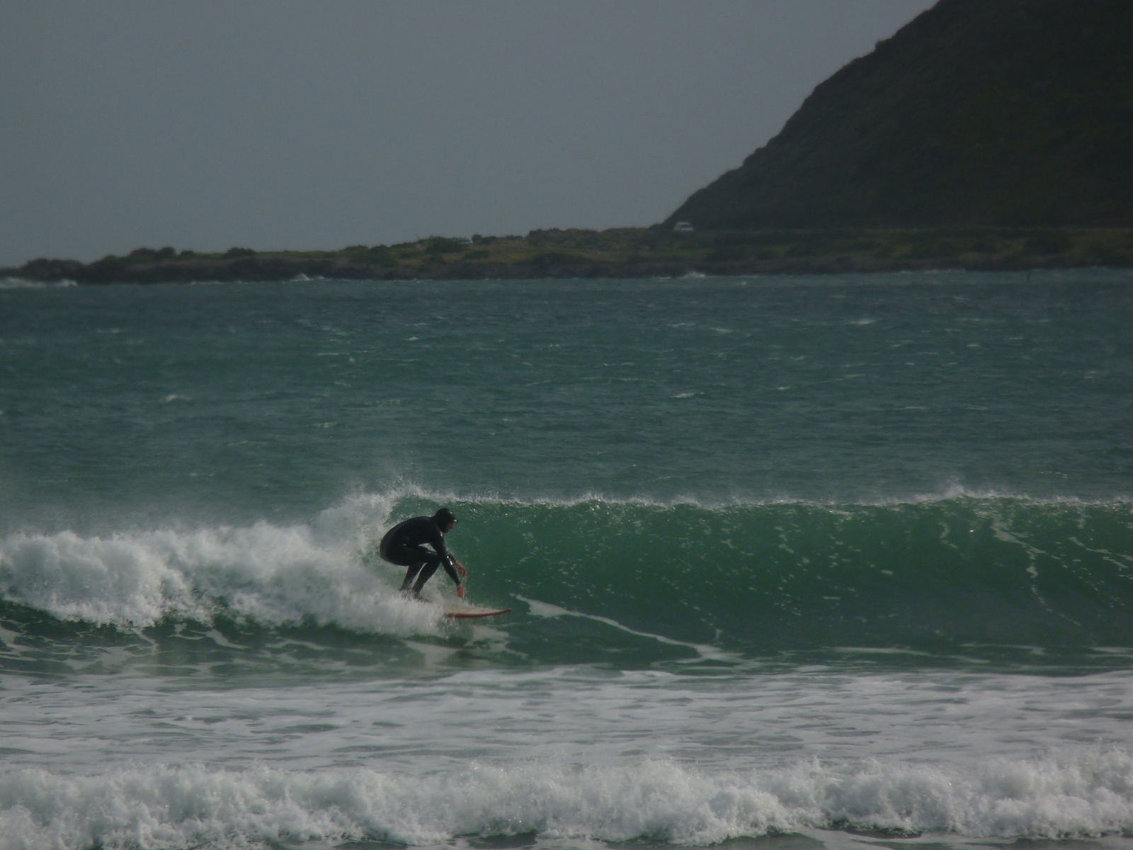 Typical Windy Lyall, Lyall Bay