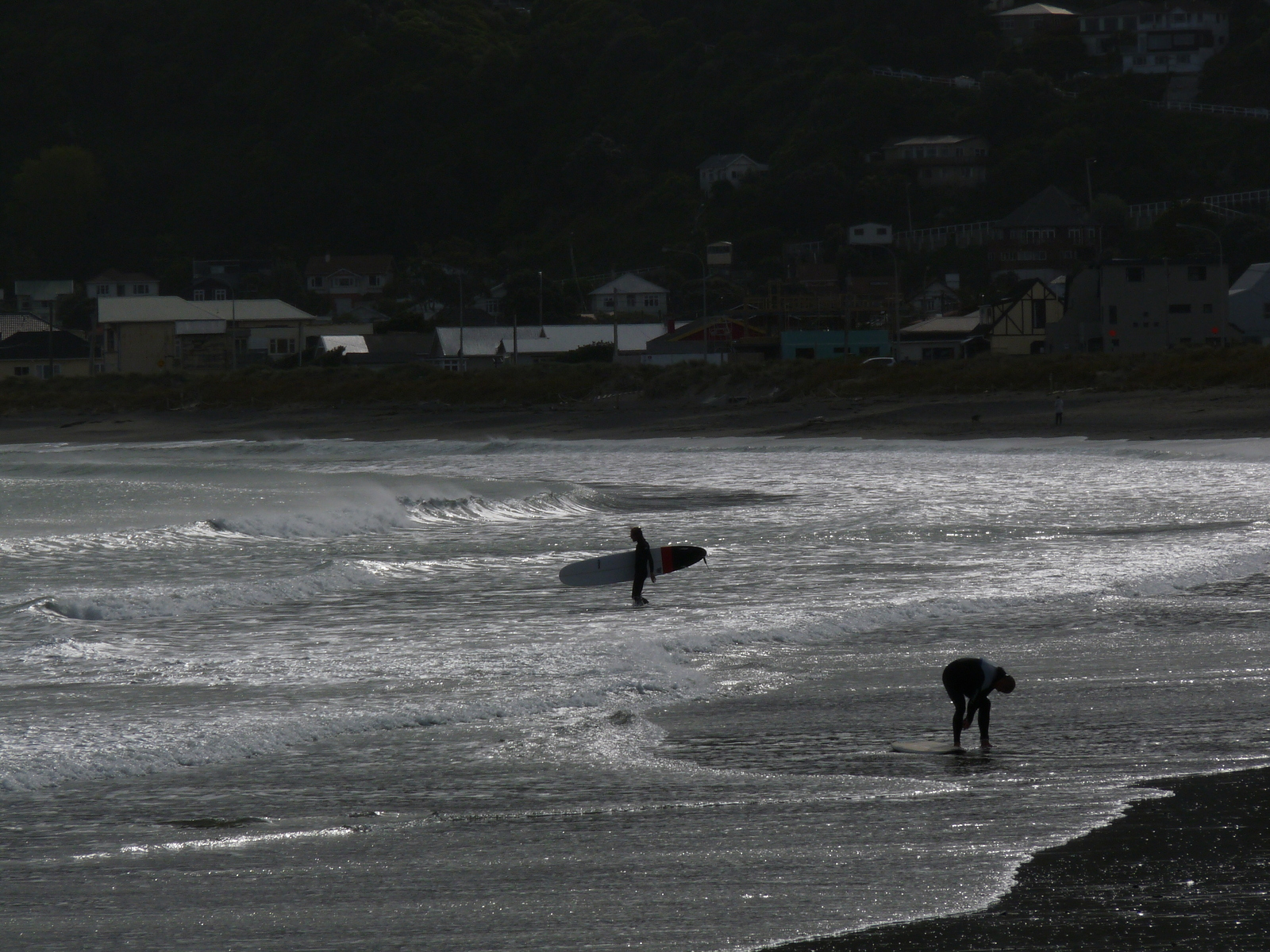 Offshore Lyall, Lyall Bay