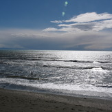 Bracing swim at Paekakariki