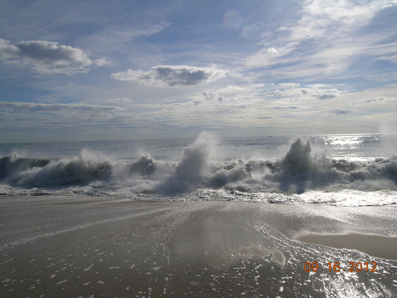 The Majestic Shoreline, Bay Head